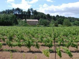 Maisons de vacances Peaceful Escape in Argeliers : photos des chambres