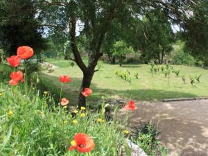 Maisons de vacances Peaceful Escape in Argeliers : photos des chambres