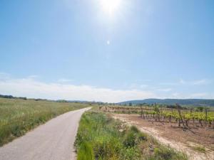Maisons de vacances Peaceful Escape in Argeliers : photos des chambres
