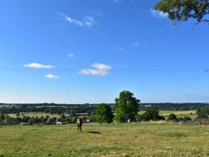 Maisons de vacances Holiday Home in Isenay near Lake and Forest : photos des chambres