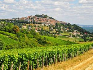Maisons de vacances Farmhouse in Talon with Scenic Views : photos des chambres