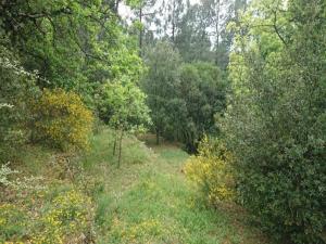 Villas Restful Villa in Largentiere with Swimming Pool : photos des chambres