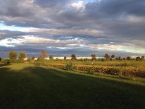 Holiday countryside home with swimming pool, sauna Less than 20km from the sea