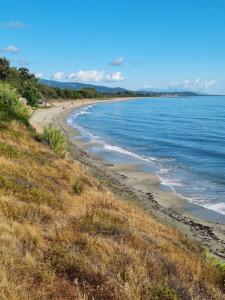 Maisons de vacances Mini Villa 200 m de la plage : photos des chambres