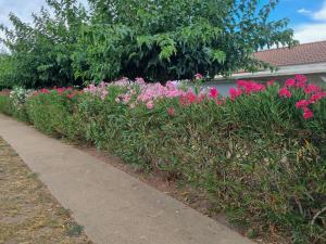 Maisons de vacances Mini Villa 200 m de la plage : photos des chambres