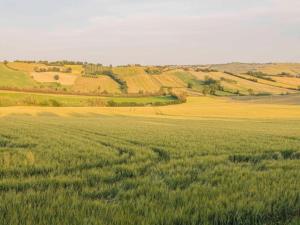 Inviting Holiday Home in San Costanzo with Swimming Pool