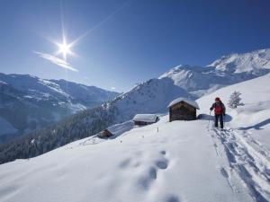 Cozy Apartment in Aschau im Zillertal near Ski Lift