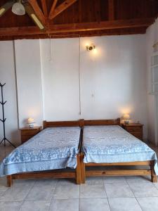 Total Blue Maisonette