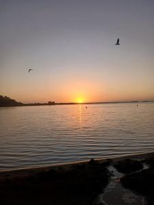 Alta Vista de Cahuil