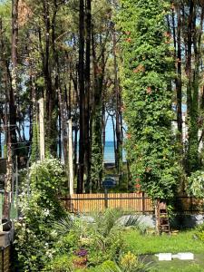 Apartment Kaprovani Shekvetili