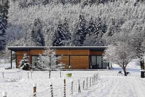 Maisons de vacances Holiday Home in Turquestein Scenic Views : photos des chambres