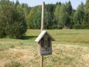 Maisons de vacances Holiday Home in Turquestein Scenic Views : photos des chambres