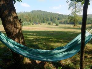 Maisons de vacances Holiday Home in Turquestein Scenic Views : photos des chambres
