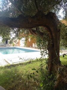 Villa Firdhouse Djerba