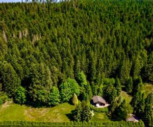 Little Paradise hidden from view