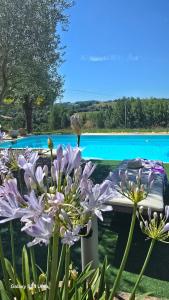 Maisons de vacances Villa Epis Tournesols : photos des chambres