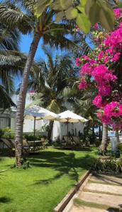 Coco Villa-đảo Phú Quý