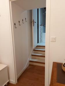 B&B / Chambres d'hotes Manoir de l'Angelus : photos des chambres