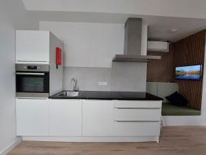 Comfort Apartment Hoofddorp near Amsterdam Schiphol