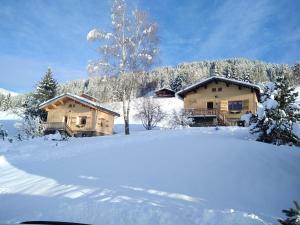 Chalet in Notre-Dame near Ski Lift