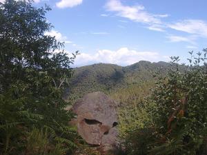 Apartamento Superior de 2 dormitorios