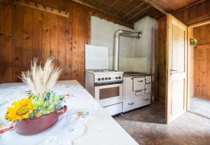 Zillertaler Stillupp Chalet by FeWo-Plan