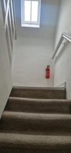 Cork Apartment with River Views -Cosy in Cork