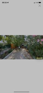 Chambre dans maison partagée