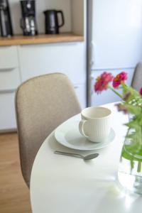 Spacious 2-room Apartment with free parking and Wi-Fi