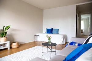 Spacious 2-room Apartment with free parking and Wi-Fi