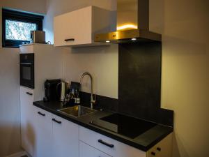 Apartment in Vrouwenpolder near Beach