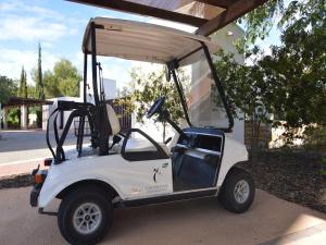 Golfside Luxury at Las Colinas