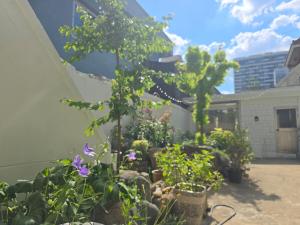 Slow House - Dongdaegu Station, Photo zone, Garden