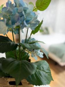 EL RINCÓN DEL MARQUÉS ÁTICO con aire acondicionado junto a Laurel