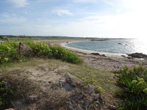 Maisons de vacances Cottage in Cosqueville near Normandy Coast : photos des chambres
