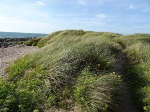 Maisons de vacances Cottage in Cosqueville near Normandy Coast : photos des chambres