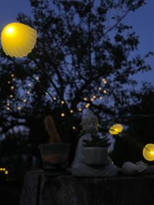 The Ozorian Rooms & Glamping