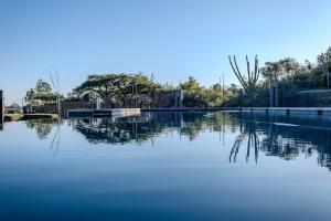 #AlimamaSpaces The Manson Umthunzi View