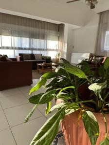 Golden sunny central room in the heart of degla el maadi