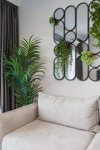 Urban White Oasis in Centre