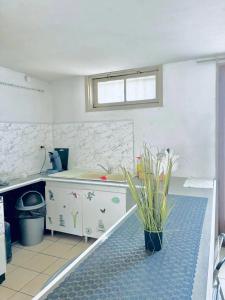 Appartements Appartement charmant a Avignon - 50 m² - Terrasse privee : photos des chambres