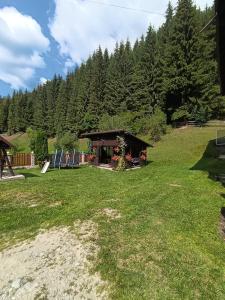 Casa Alexandru Dorin