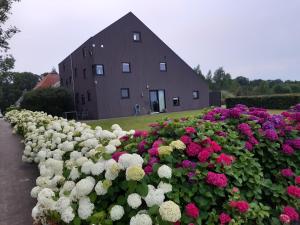 holiday home with private terrace