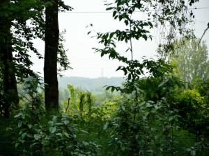 Maisons de vacances Holiday Home near Opal Coast Wierre-Effroy : photos des chambres
