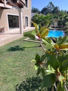 Villas Maison familiale au coeur des Alpilles Repos assure : photos des chambres