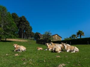 Maisons de vacances Forest View Home in Loubejac : photos des chambres