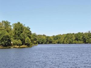 Maisons de vacances Forest View Home in Loubejac : photos des chambres