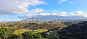 Precioso adosado en La Cala Golf 19