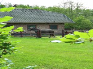 Apartment in Heiloo near North Sea Beach