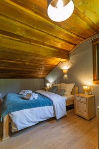 Chalet Harmony, Liézey - Gérardmer 9p - Spa